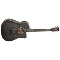 Tanglewood TW5E-BS Serie Winterleaf