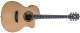 Washburn AG70 CE K